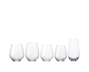 SPIEGELAU Authentis Casual Vaso multiuso All Purpose en grupo