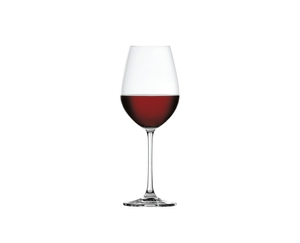 SPIEGELAU Salute Red Wine 