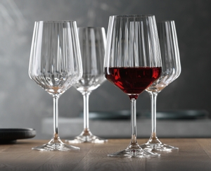 NACHTMANN Masterpiece Red Wine Glass - optical in use