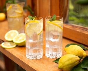 RIEDEL Drink Specific Glassware Highball Glass in use