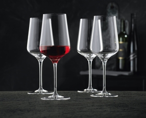 NACHTMANN ViNova Redwine glass in use