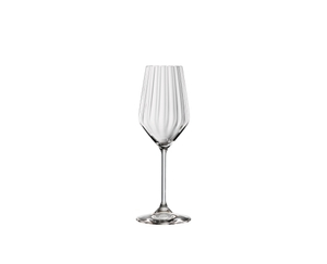 SPIEGELAU Lifestyle Champagne Glass 