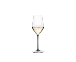 NACHTMANN Masterpiece Champagne Glass 