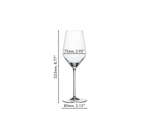 NACHTMANN Masterpiece Champagne Glass 