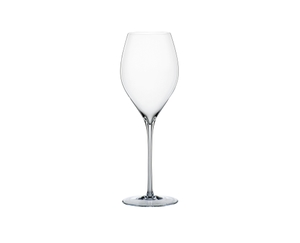 SPIEGELAU Special Glasses Copa de Champán Sparkling Party - 450ml 