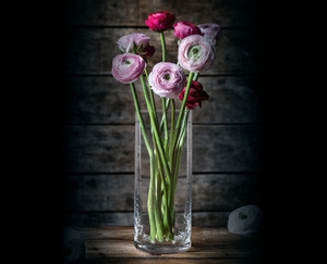 NACHTMANN Style Vase - 25.6 cm | 10.079 in im Einsatz