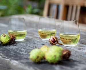 RIEDEL The O Wine Tumbler Viognier/Chardonnay im Einsatz