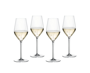 NACHTMANN Masterpiece Champagne Glass 