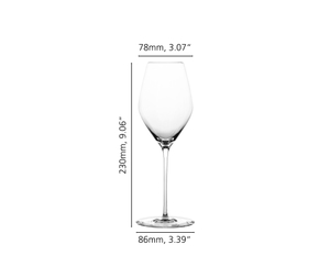 SPIEGELAU Hi-Lite Champagne Glass 