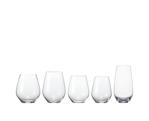 SPIEGELAU Authentis Casual All Purpose Tumbler - L in the group