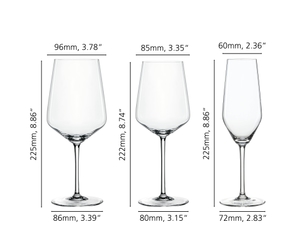 SPIEGELAU Style Bundle Wine and Champagne Glasses 