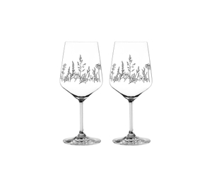 NACHTMANN Tattoo Wine/Spritz Glass - botanical black 