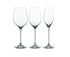 SPIEGELAU Topline Champagne flute in the group