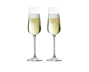 SPIEGELAU Capri Champagne Glass 