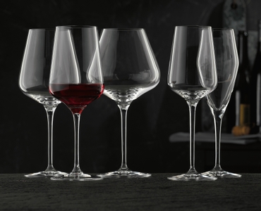 NACHTMANN ViNova Verre à vin rouge dans le groupe