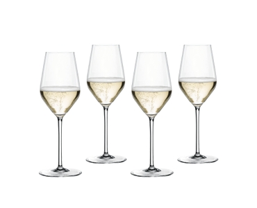 NACHTMANN Masterpiece Champagne Glass 