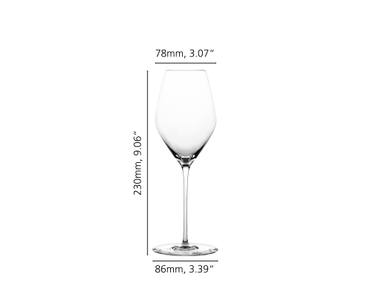 SPIEGELAU Hi-Lite Champagne Glass 