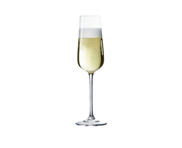 SPIEGELAU Capri Champagnerglas 