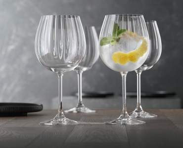 NACHTMANN Masterpiece Gin Glass - optical in use