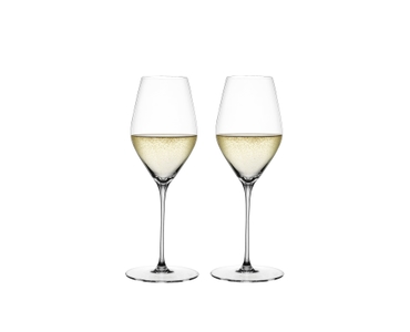 SPIEGELAU Hi-Lite Verre à Champagne 
