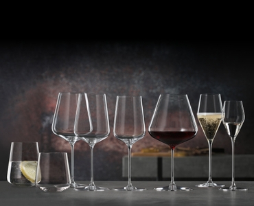 SPIEGELAU Definition Burgundy Glass in the group