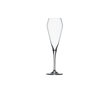 SPIEGELAU Willsberger Anniversary Champagne Flute 