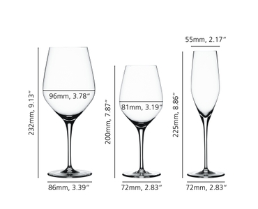 SPIEGELAU Authentis Bundle Wine and Champagne Glasses 