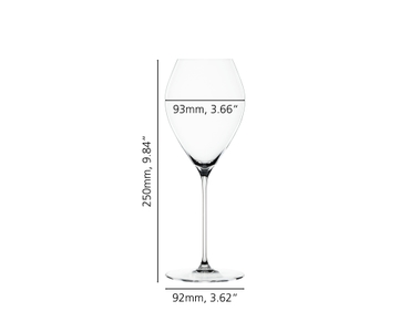 SPIEGELAU Special Glasses Bundle Bicchieri da Spumante 