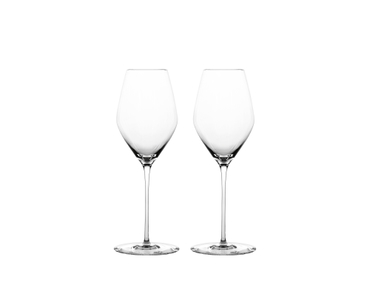 SPIEGELAU Hi-Lite Champagne Glass 