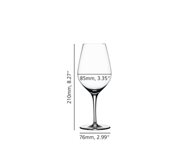 SPIEGELAU Authentis Universal Glass 