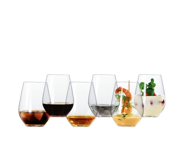 SPIEGELAU Authentis Casual All Purpose Tumbler 