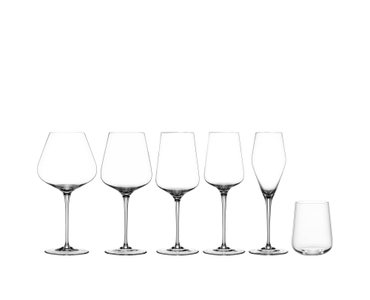 SPIEGELAU Hybrid Champagnerglas in der Gruppe