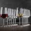 SPIEGELAU Style Wine Glass Set 