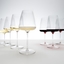 RIEDEL Winewings Tasting Set in the group