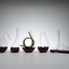 RIEDEL Decanter Mini Amadeo in gruppo