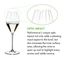 RIEDEL Performance Champagne Glass 