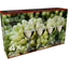 RIEDEL Vinum Riesling in the packaging