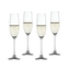 SPIEGELAU Salute Champagne Glass 