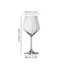 SPIEGELAU Lifestyle Burgunderglas 