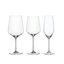 SPIEGELAU Style Bundle 
