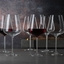 SPIEGELAU Definition Bordeaux Glass in use