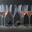 SPIEGELAU Special Glasses Champagnerglas Sparkling Party - 450ml 