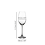 RIEDEL Ouverture Champagne Glass 