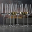 SPIEGELAU Definition White Wine Glass in use