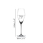 SPIEGELAU Hybrid Champagne Glass 