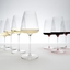 RIEDEL Winewings Champagne Wine Glass in the group