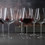 SPIEGELAU Definition Bordeaux Glass in use