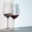 RIEDEL Performance Cabernet/Merlot in use