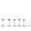 SPIEGELAU Hybrid Champagnerglas in der Gruppe