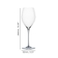 SPIEGELAU Special Glasses Verre à Champagne Sparkling Party - 450ml 